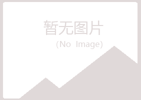 黑河夏槐能源有限公司